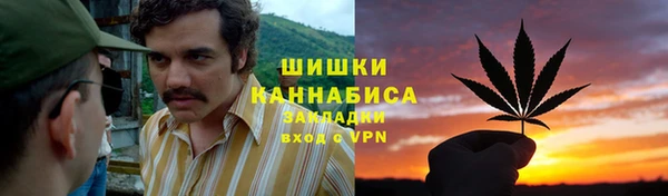 молекула духа Аркадак