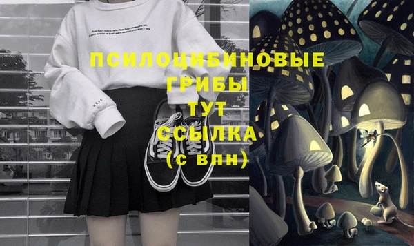 молекула духа Аркадак