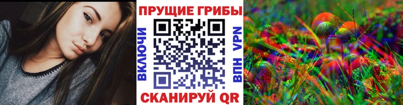 Купить закладки  Армянск  Галлюциногенные грибы Magic Shrooms 